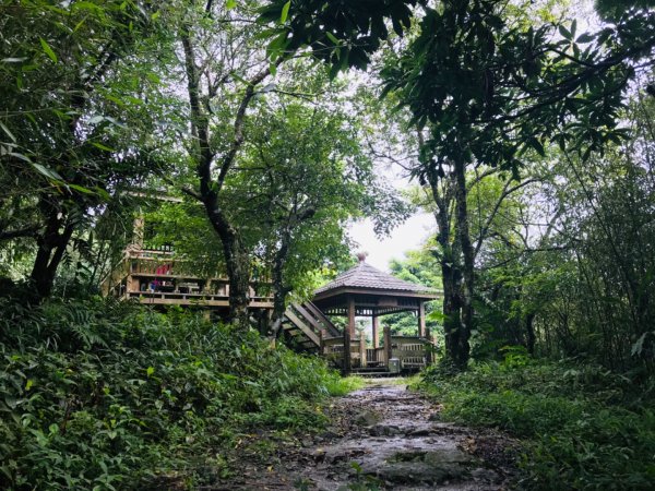 大凍山、雞籠山環行1076524