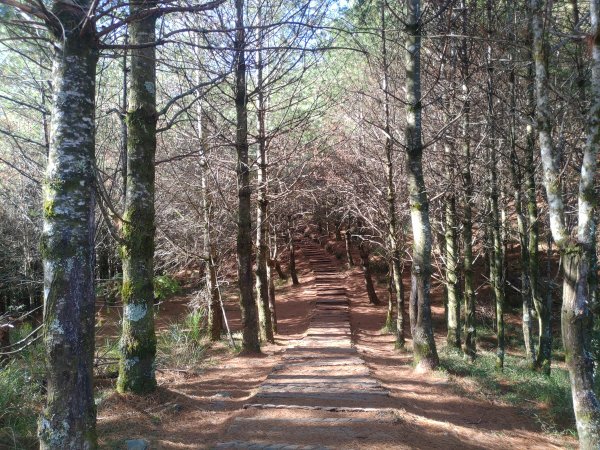 1110212庫哈諾辛山1614160