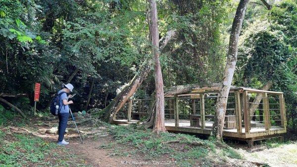 《新竹》青青石階｜娥眉藤坪步道及萬佛庵步道202509132883901