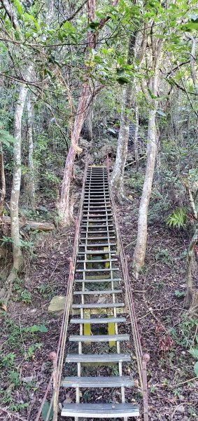 2023-09-29立霧山登山步道2300960