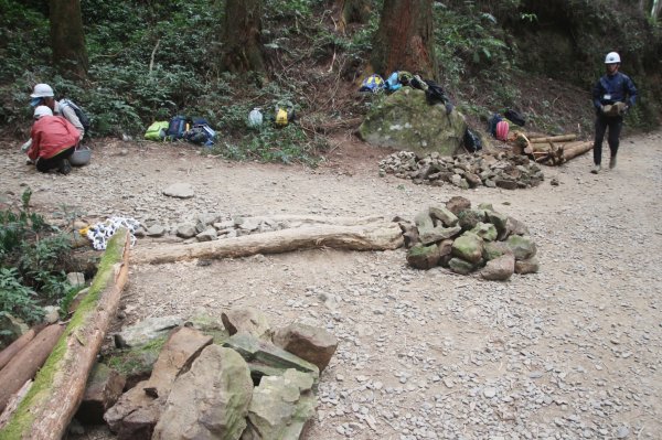 用心「手」護特富野古道的人們1308388