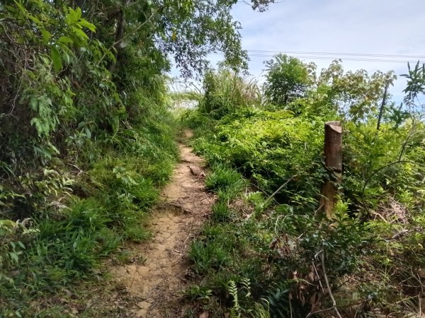 汐止區夢湖保線路+單車夢湖路O型2894129