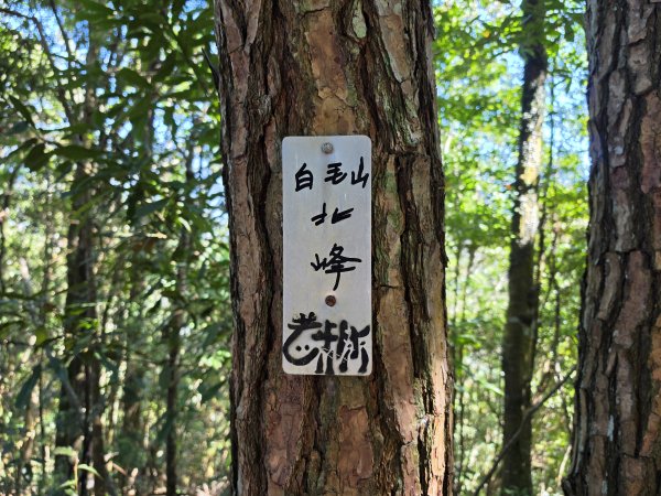 谷關七雄｜白毛山3131406
