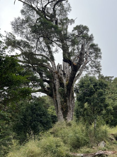 百岳-塔關山2695789