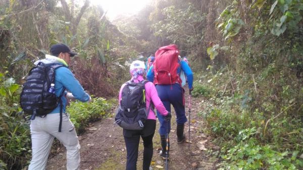 三腳南山〈H1187M〉（小百岳）294344