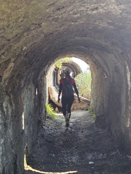 新北 瑞芳 無言的山丘2788522