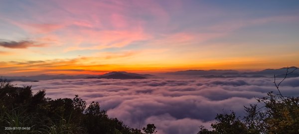 #石碇後山 #霞光 #日出 #雲海 #火燒雲 #魔目裳蛾 7/1&33080448