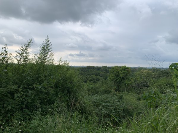 20250906台南蚵殼坑山-九層嶺-三十六崙山-洋子寮山