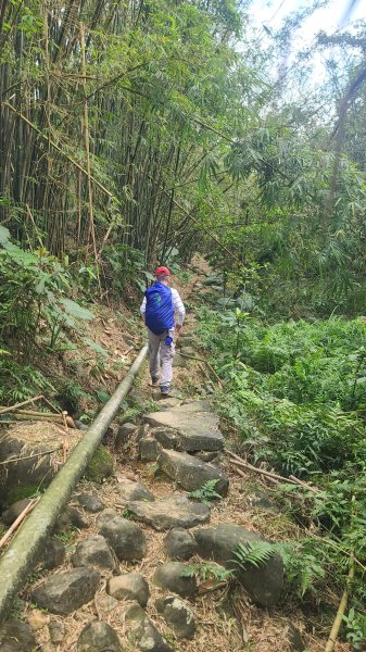 2025-01232淡蘭古道北二段(燦光寮古道到澳底)2696684