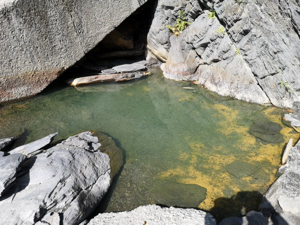 春陽廬山溫泉步道832078