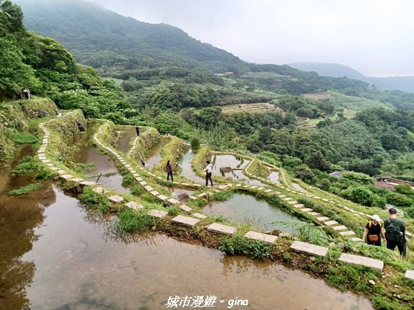 【新北石門】全台唯一火山岩石砌梯田。 嵩山百年梯田阡陌步道2823936