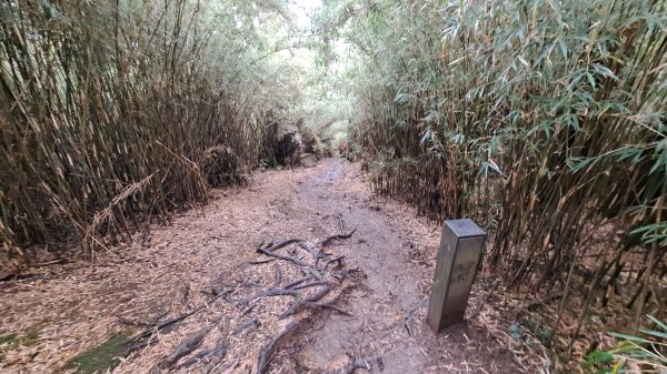 合歡西峰單攻1216882