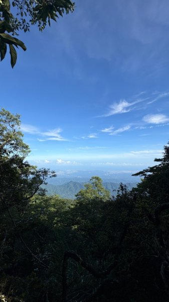 雲海2835099