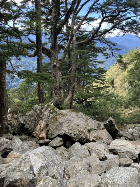 20251005 玉山前峰2906795