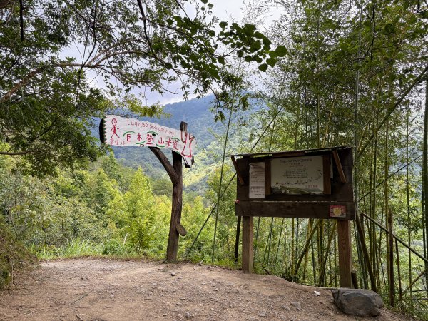 司馬庫斯巨木群登山步道2862134