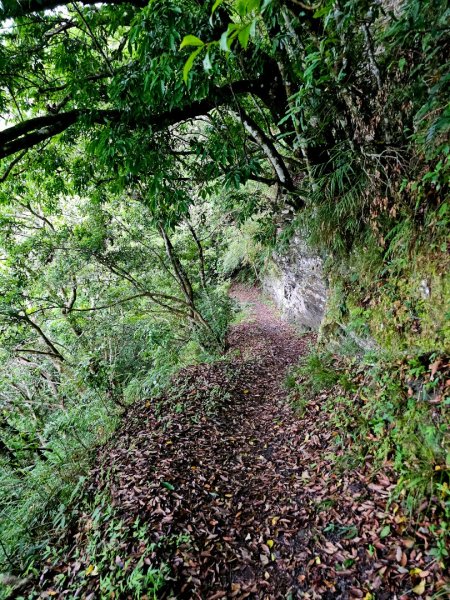 瓦拉米步道(登山口至佳心段)-(花蓮)臺灣百大必訪步道2789424