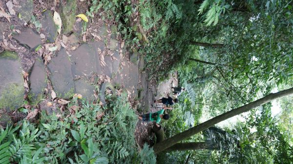 新溪洲山之樂400355