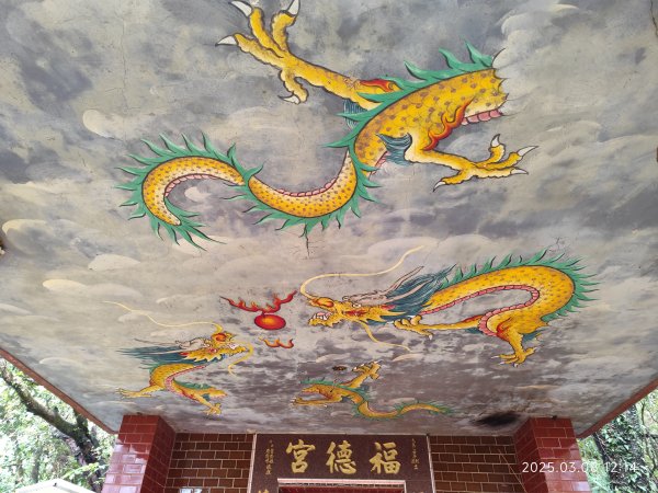 【臺北大縱走6】中華科大步道→九五峰→南港山→糶米古道→軍功山→中埔山→福州山公園→富陽自然生態公園2730083