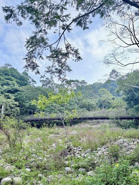 好久沒來大坑4號步道 2026.6.243079525