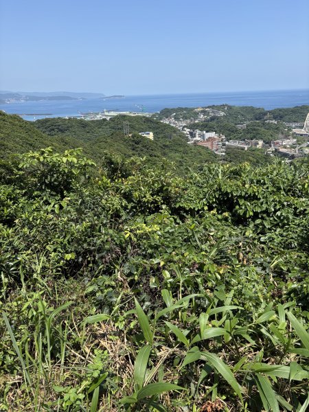 槓子寮山3043504