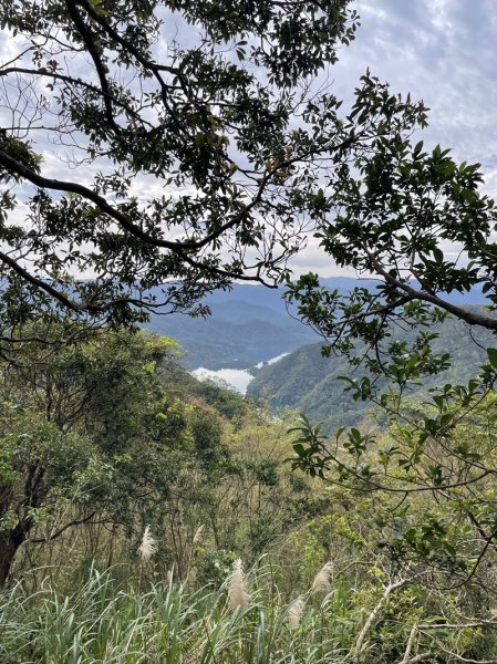 鱷魚頭景觀步道2729215