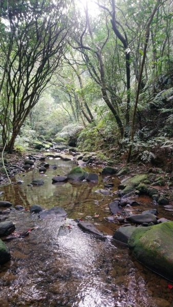 璀璨百年淡蘭古道～虎豹潭古道連走橫山、三方向山、尪子嶺Ｏ走1301148