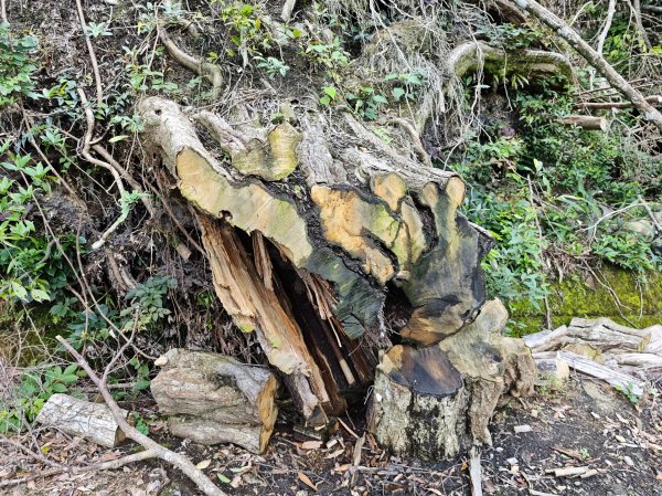 2025_0601 赫威山2802289