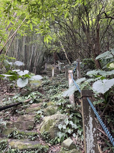 山仔頂步道2708442