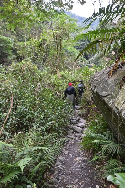 谷關七雄-唐麻丹山2888722