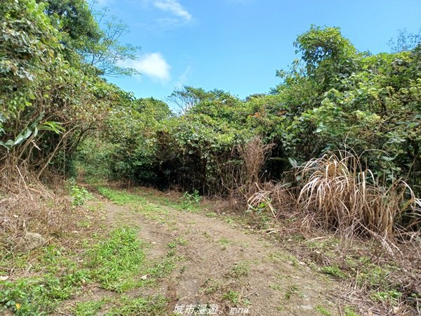 【台東。大武】一路搖晃碰碰車。小百岳集起來。  編號95小百岳-加奈美山步道1640911