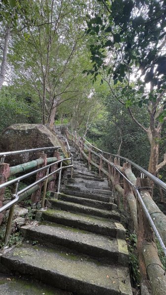 941（旗尾山2905671