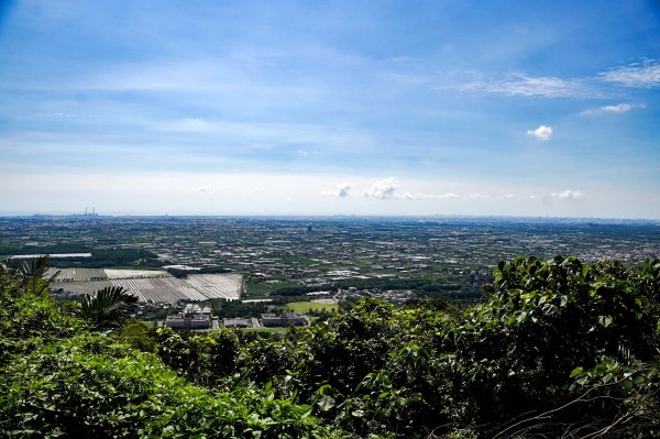 大崗山步道｜小百岳2812779