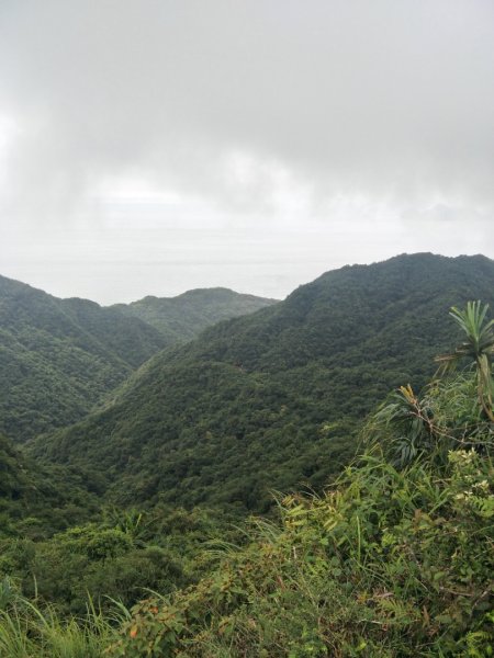 灣坑頭山步道1751785