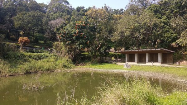 2020 2/4 虎頭埤878925