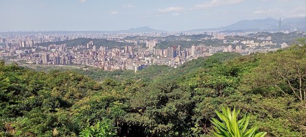 【臺北大縱走 7】貓空站→樟樹、飛龍步道1254316