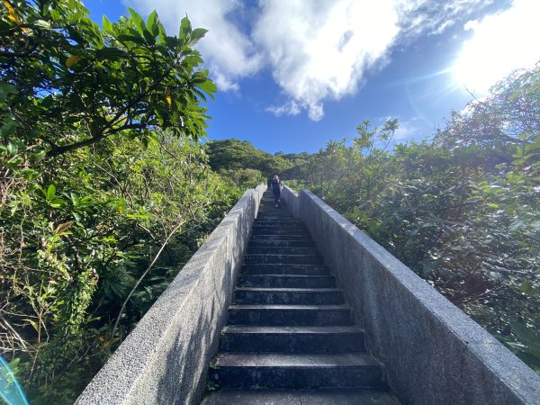 【淘金越野 20K 練跑體驗】瑞猴自行車道×大粗坑步道×金字碑古道｜陪跑練習日記2900375