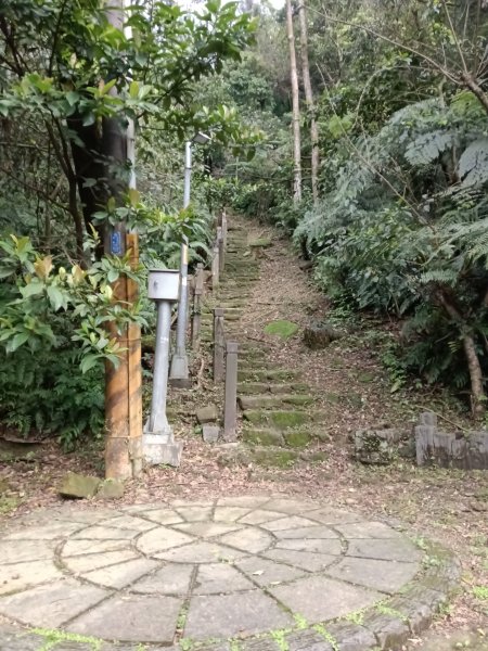 大尖山櫻花-龍船洞-秀峰瀑布2733726