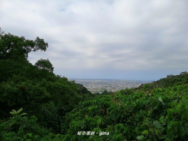 台中~蒼鬱森林芬多精~聚興山新田登山步道1258891