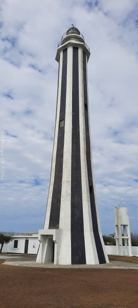 《彰化》海空夕照｜王功燈塔及芳苑海空步道健行賞冬候鳥202601102980248