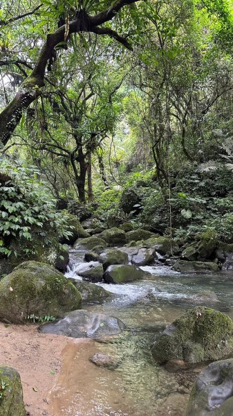 2023.05.21李棟山+馬胎古道2167589