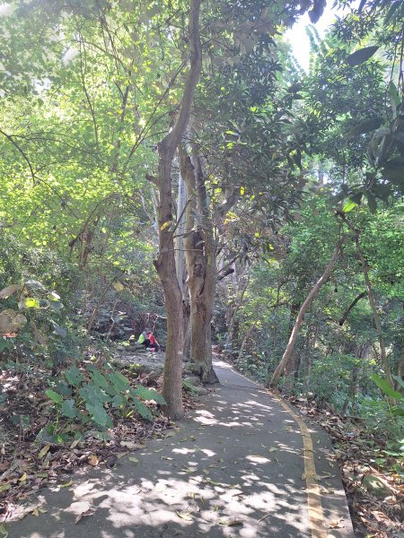 田中森林登山步道＋茶香步道＋赤水崎公園步道202508172862065