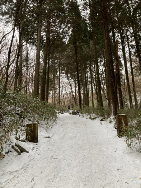 5 大阪金剛山全記錄2711132