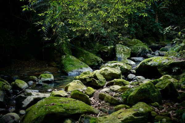 南坪古道：油羅溪上游814438