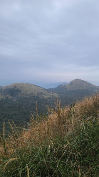 2026-0116 大屯三山_貴子坑_北投