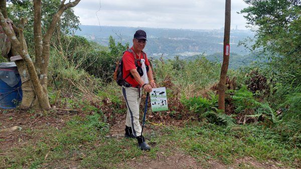 龜山五連星+大棟山O型2785151