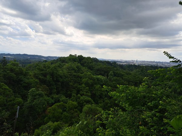 高雄觀音山步道3124203