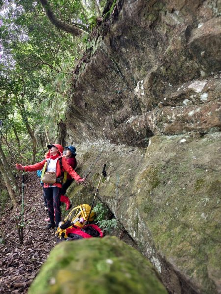 【苗栗郊山聖稜線】仙神象18連峰大縱走2676043