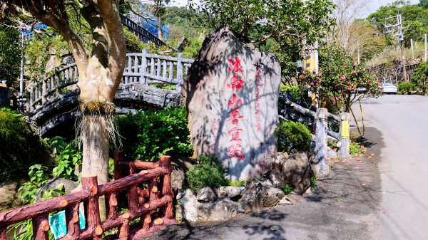 平菁街櫻花2697237