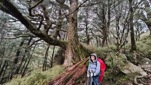 南一段20250101~052684997