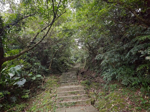[淡蘭古道] 2026_0531 北路第一段_琉榔路步道3070560